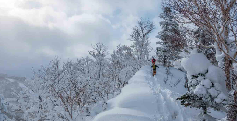 A Month-To-Month Guide On The Best Heli Skiing Destinations Around The World