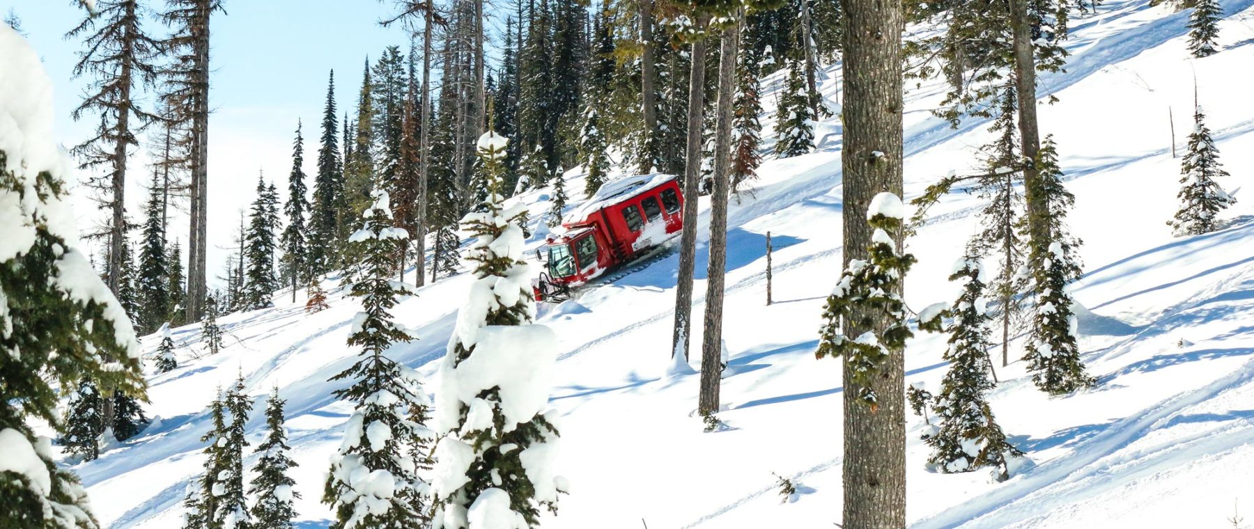 Watch: Cat Skiing in the Montana Backcountry