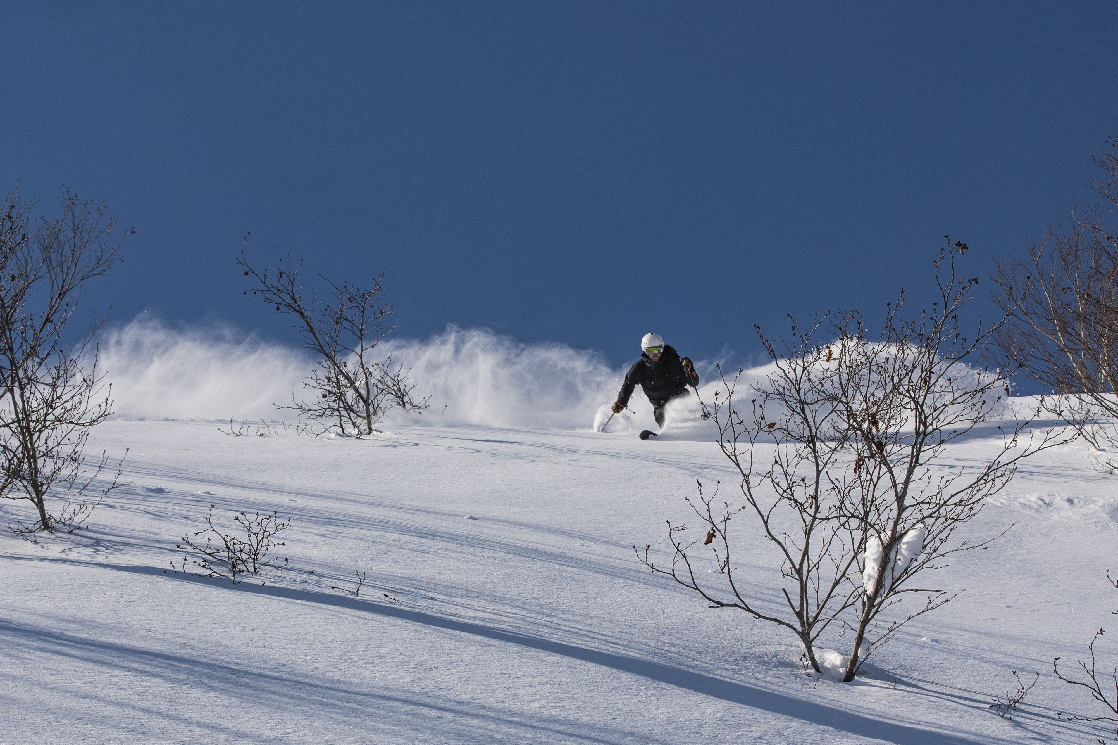 That One Gate 3 Lap: A Powder Adventure Through Japan