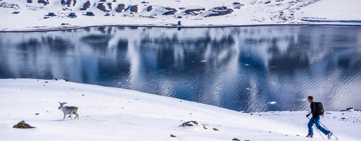 Ice Axe Expeditions: Ski the Island of Svalbard and the Fjords of Norway