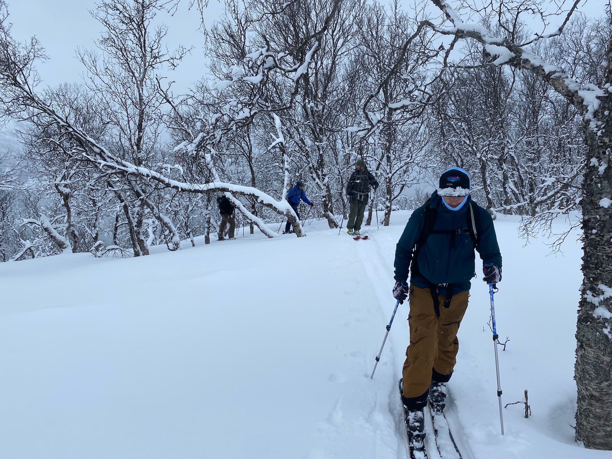 Trip Report: Sail to Ski Norway with Pukka Travels
