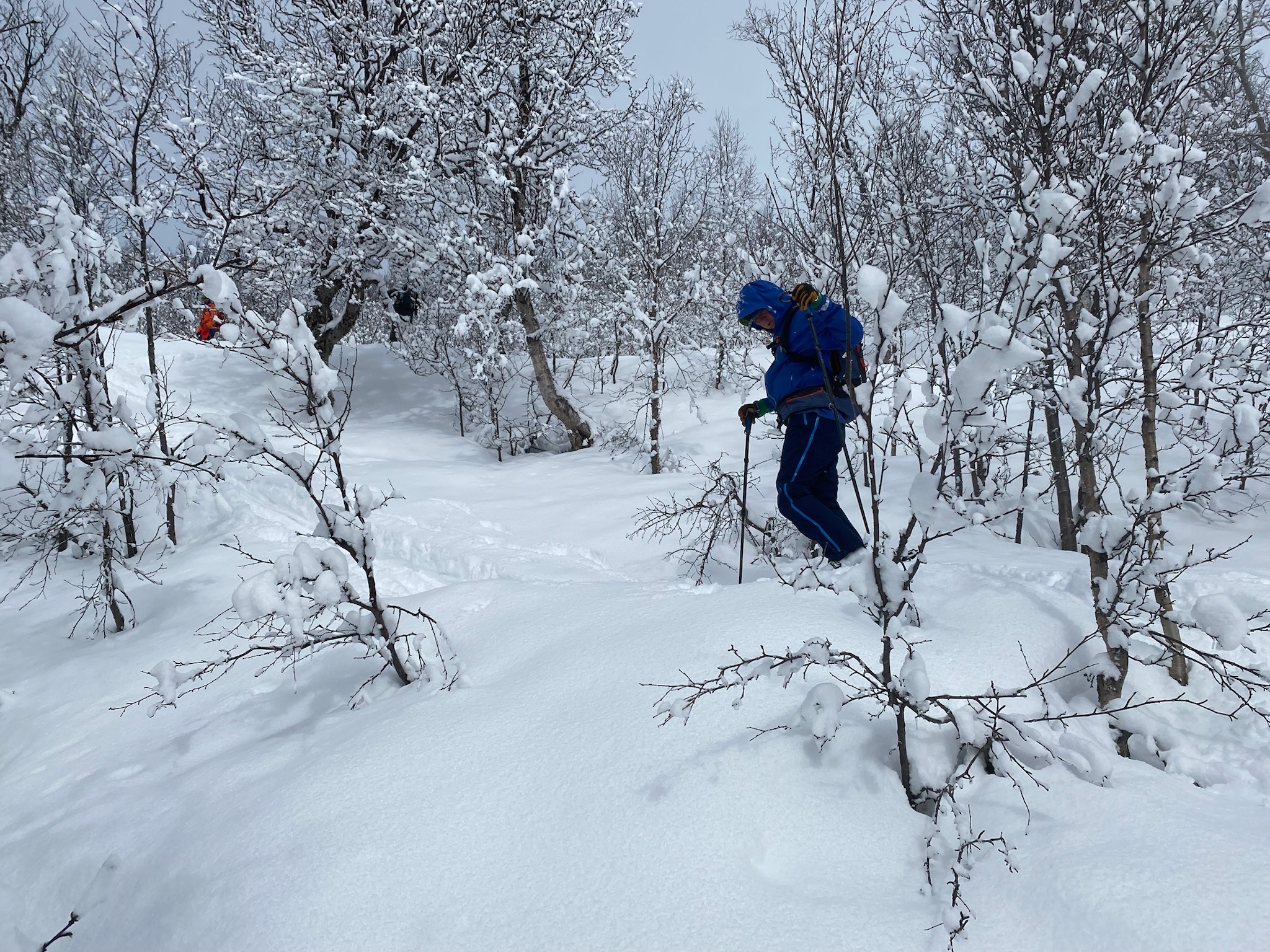 Trip Report: Sail to Ski Norway with Pukka Travels