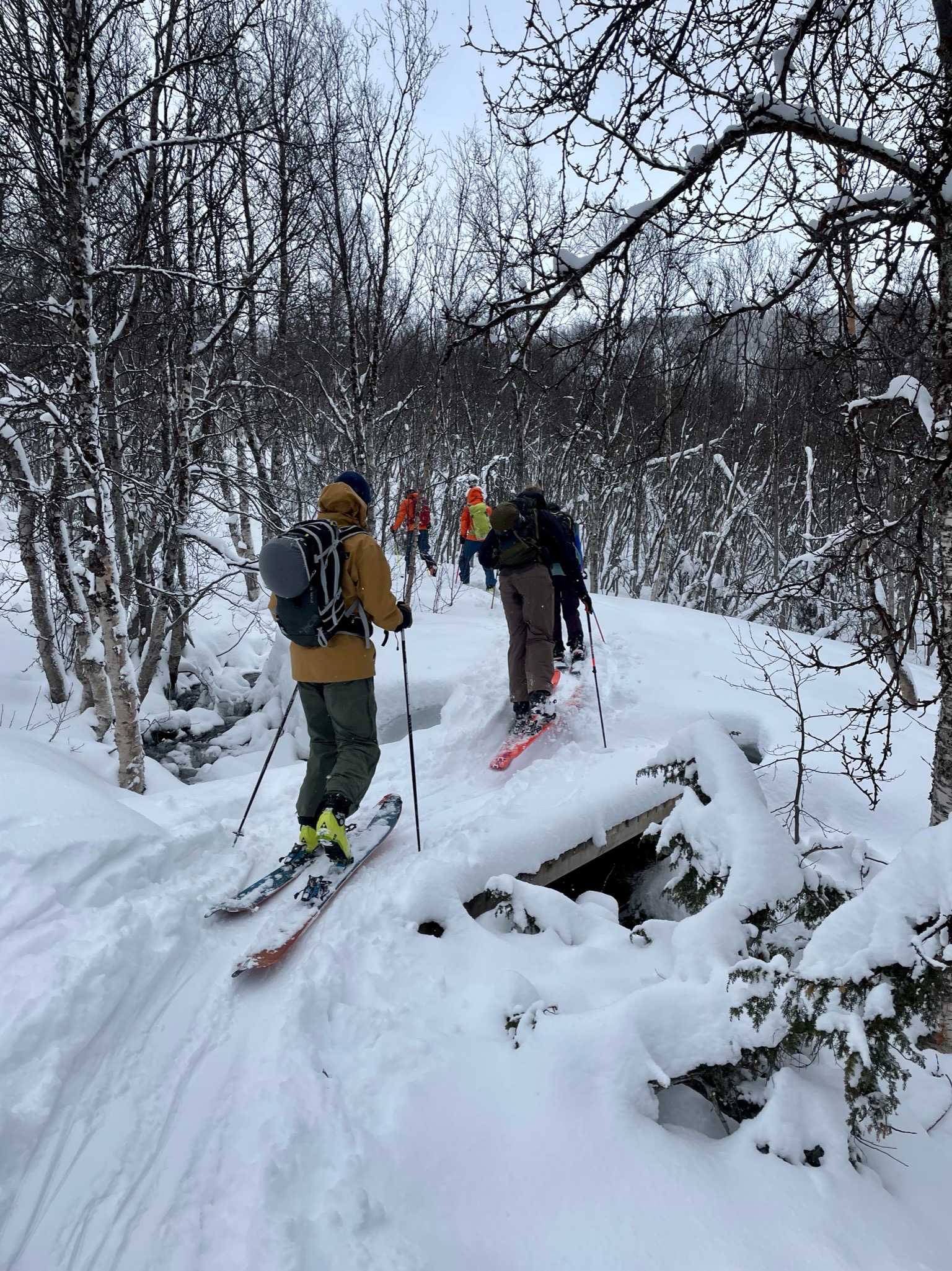 Trip Report: Sail to Ski Norway with Pukka Travels