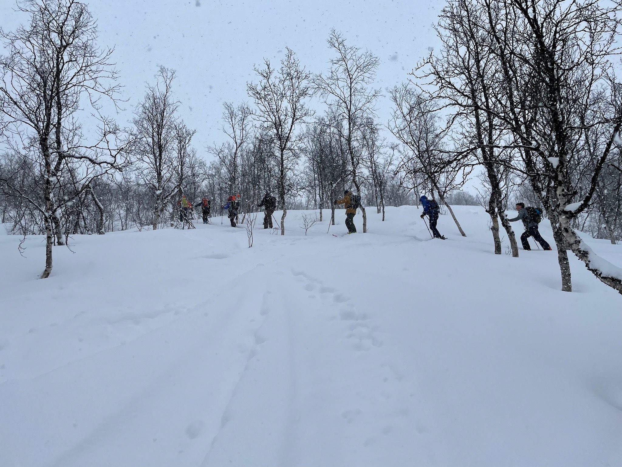 Trip Report: Sail to Ski Norway with Pukka Travels