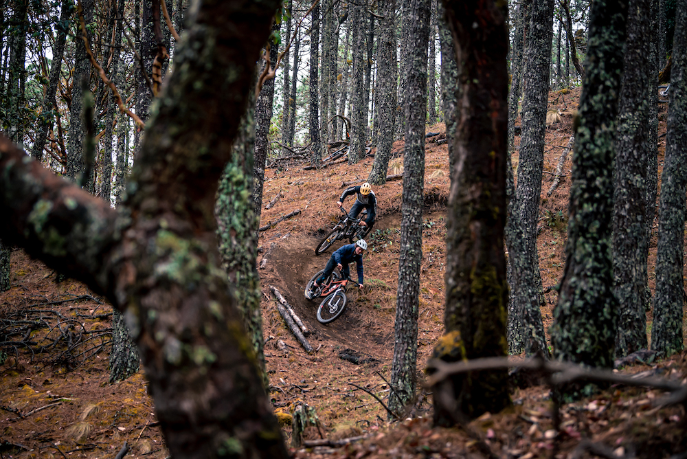 Who wants to shred mountain bikes and mezcal in Mexico?