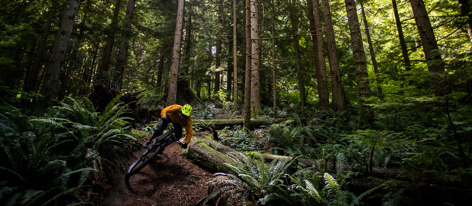 Epic & Local Mountain Biking Trips With Sacred Rides