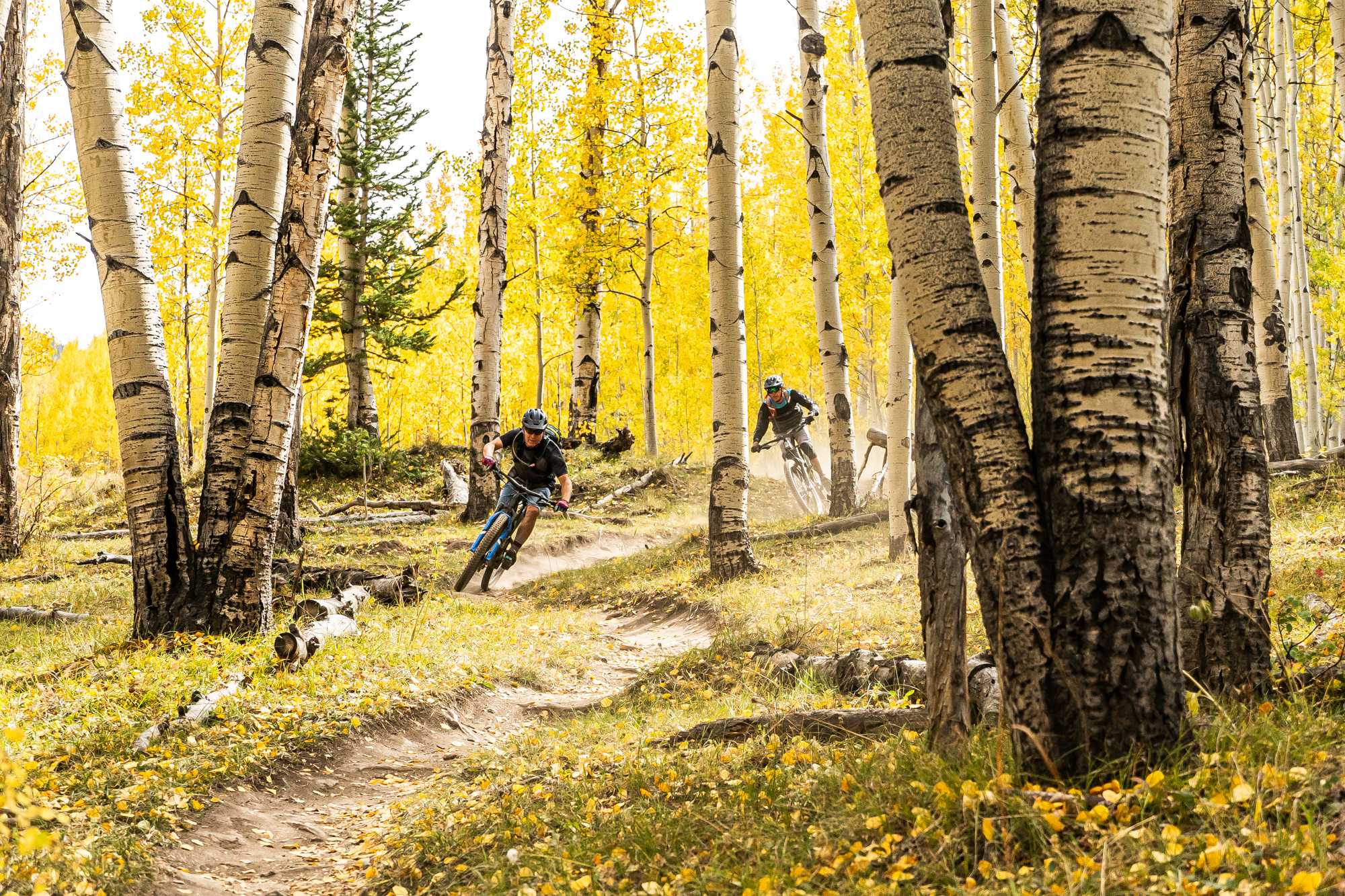 The Inside Scoop: Chasing Epic Mountain Bike Adventures