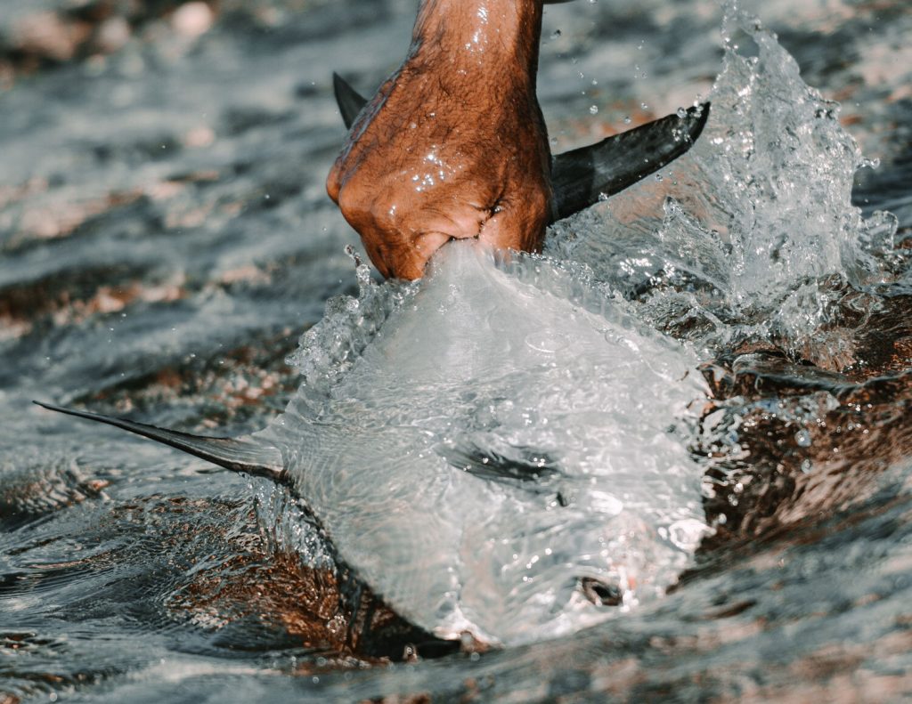 This flyfishing lodge was built to change your life.