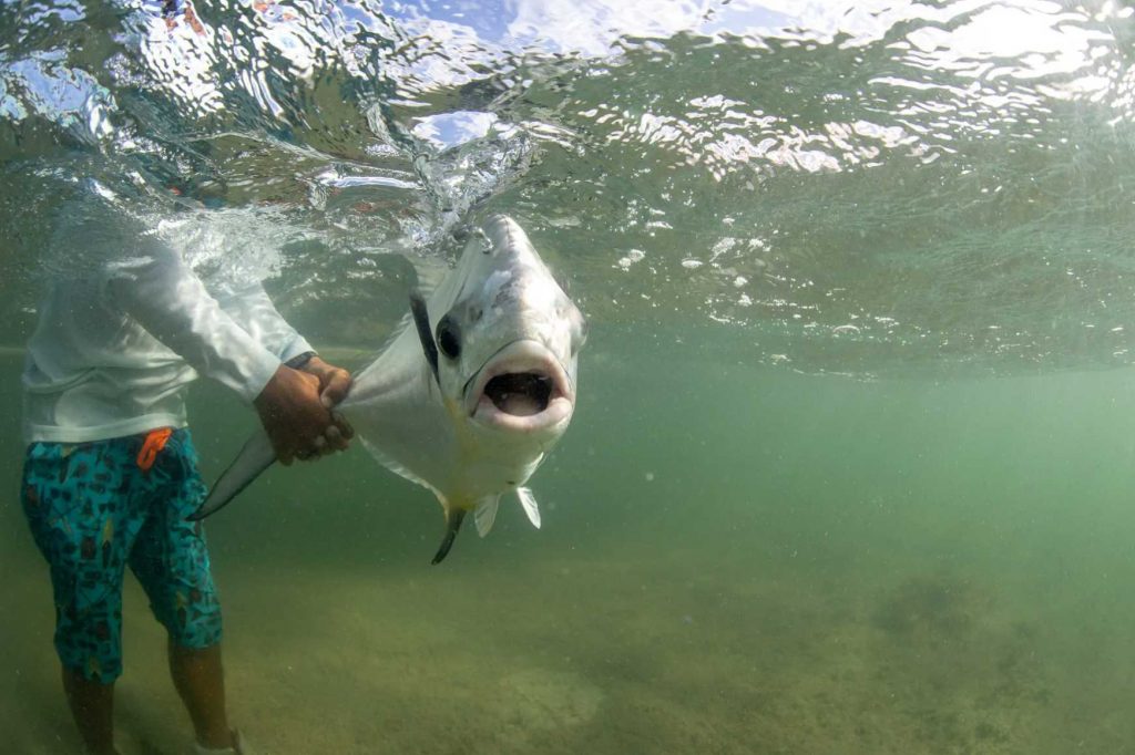 Why this fishing guide traded Colorado for Mexico