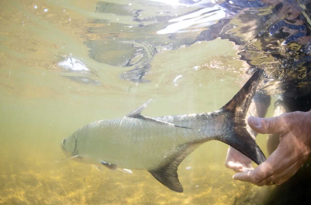 Why this fishing guide traded Colorado for Mexico