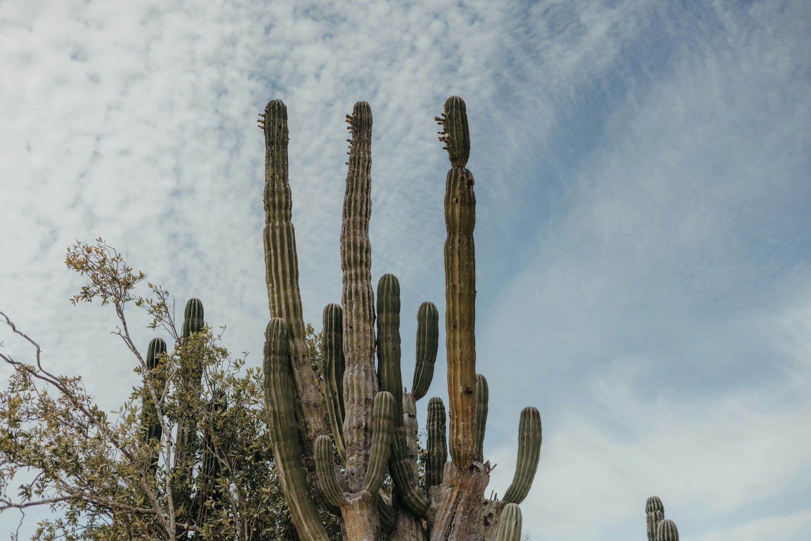 Welcome to Baja: Where Desert Meets Surf