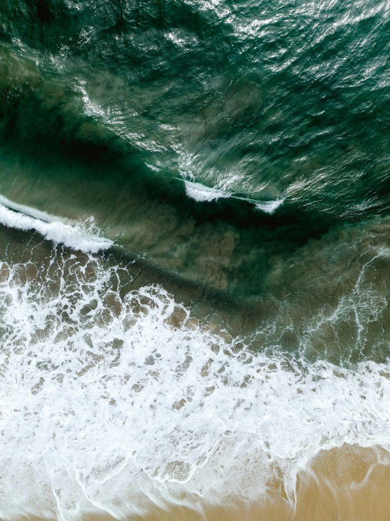 Welcome to Baja: Where Desert Meets Surf