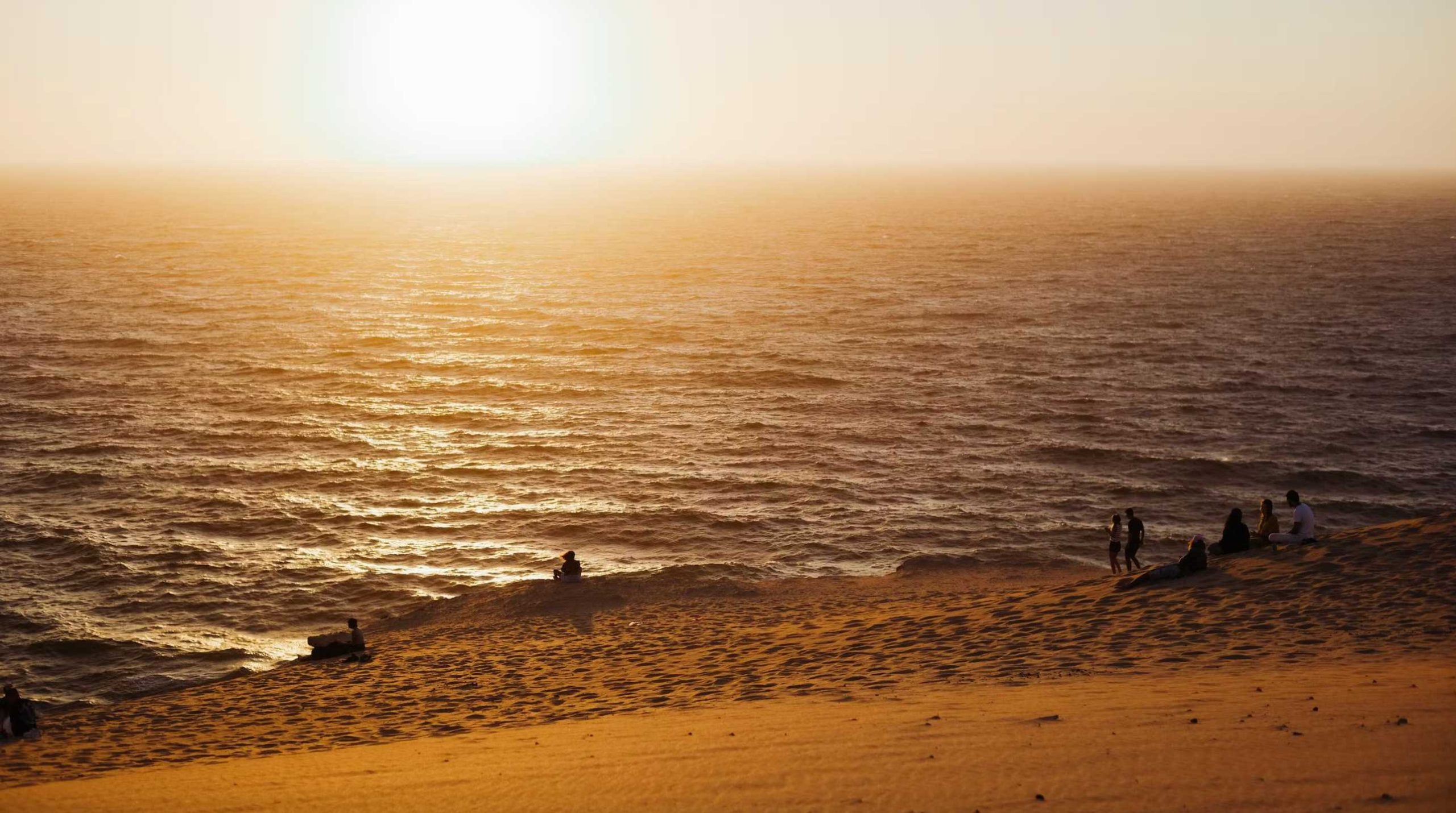 Exploring The World Of Surf Like A Local With Thermal