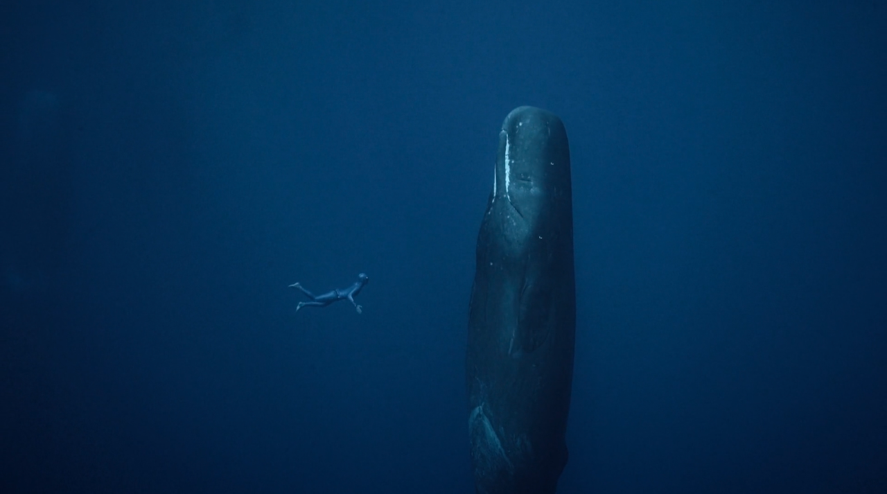 One Breath Around the World: Awe-Inspiring Freedive Video
