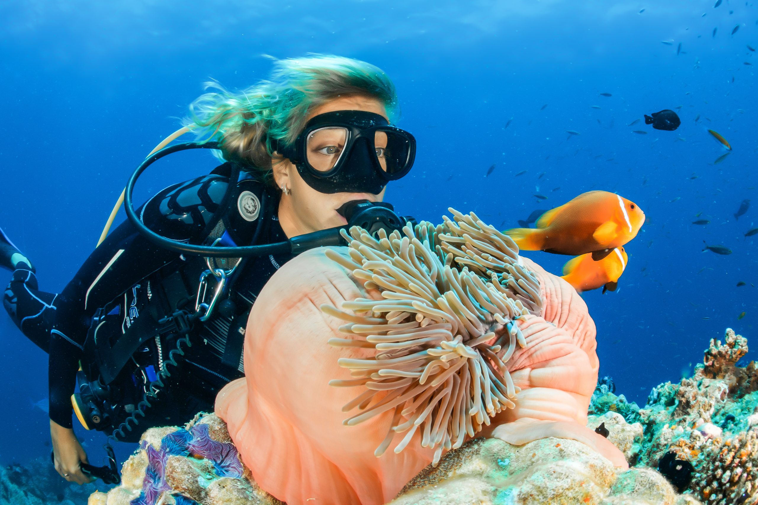 Video: What It’s Like to Dive in the Maldives