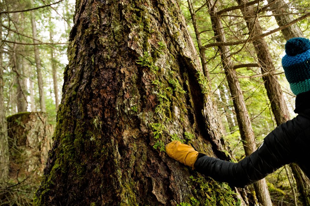 Why Outdoor Adventure Experiences Are Critical for Our Health