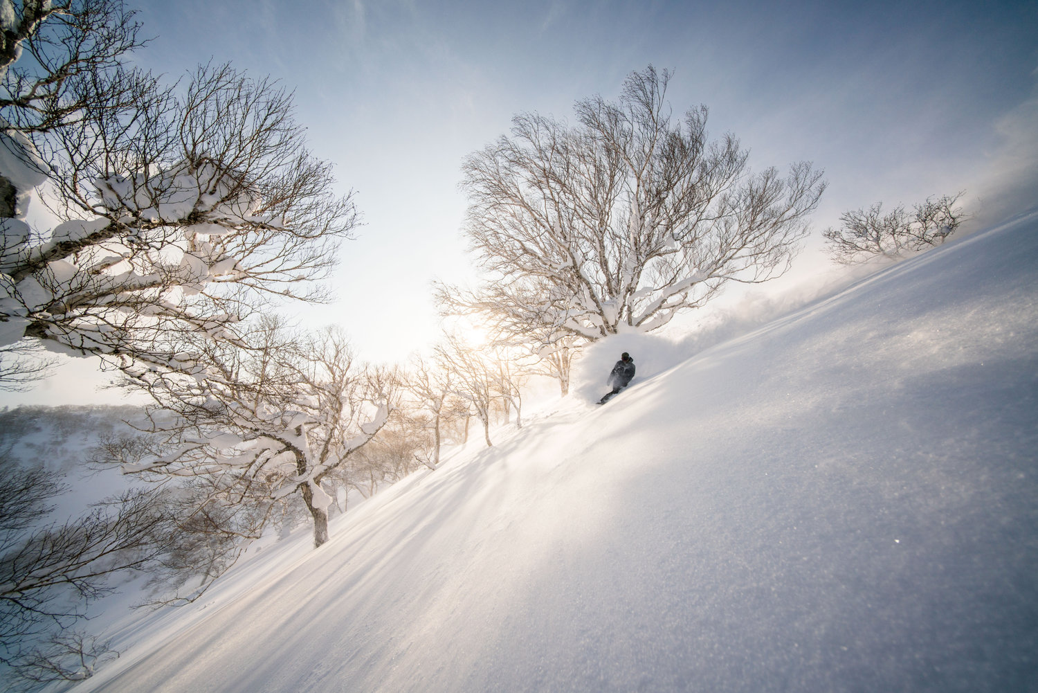 Mixed Group Cat Skiing & Raiden Resort Stay