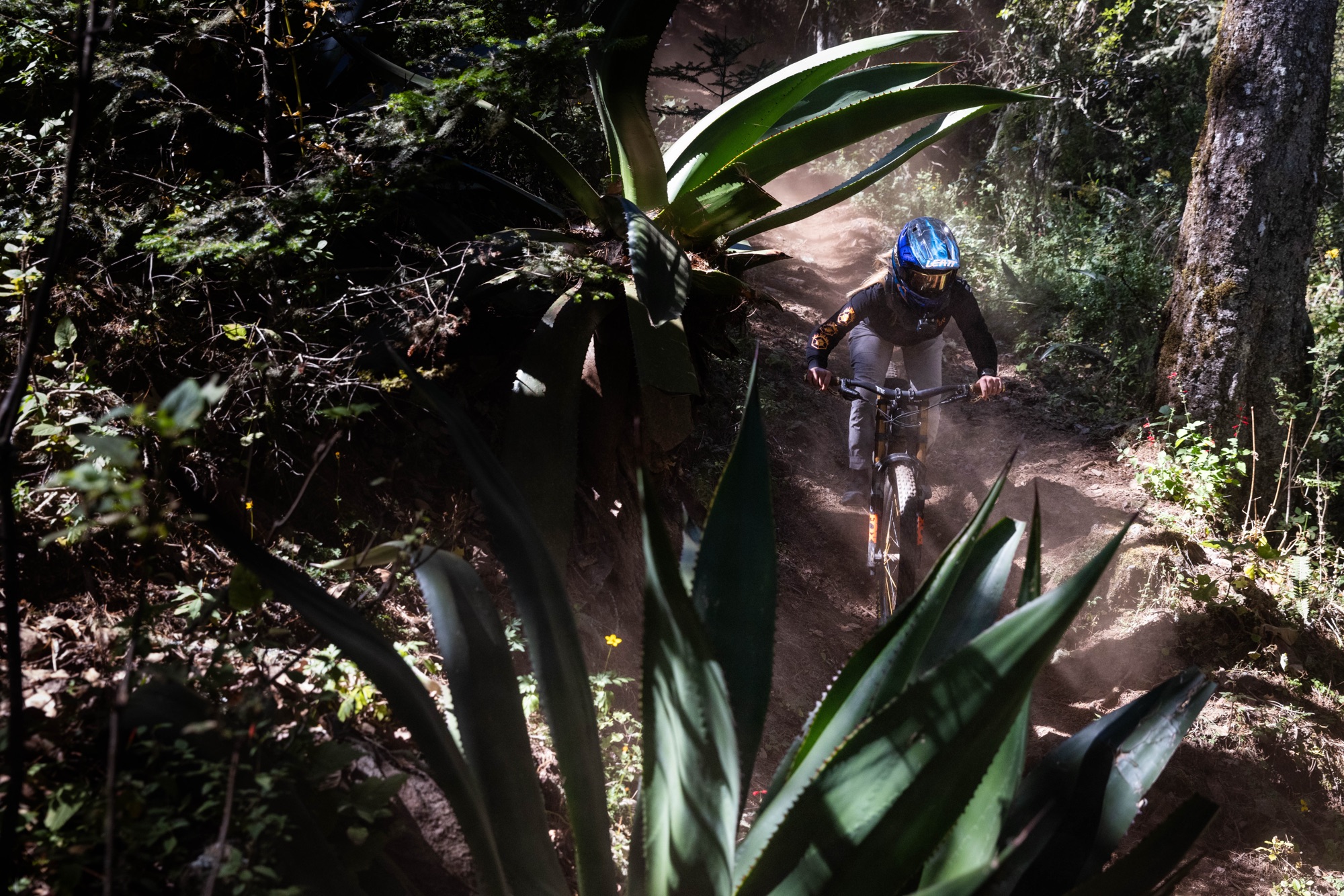 6 Day Bike Tour