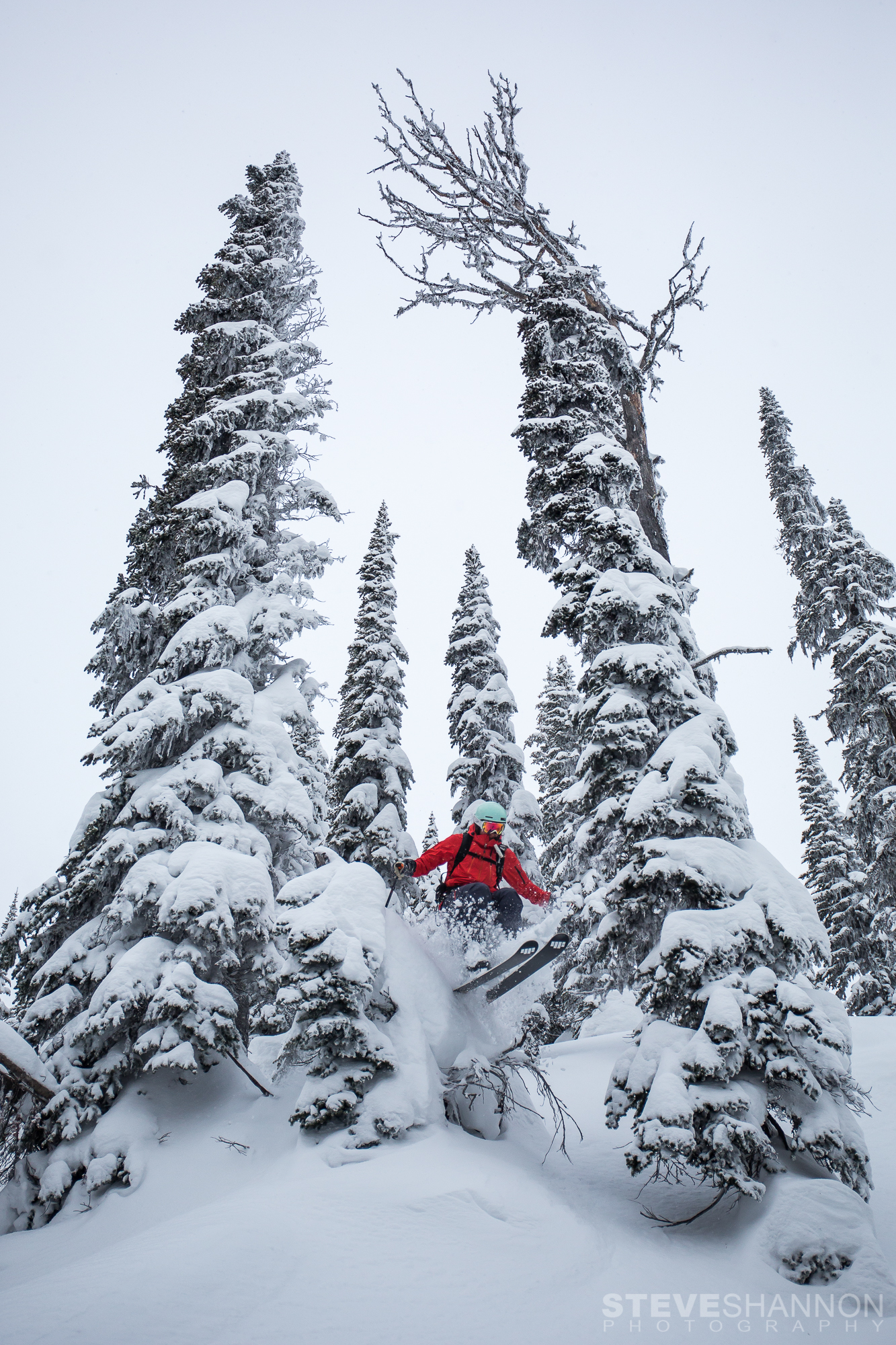 Multi Day Semi Private Heliskiing