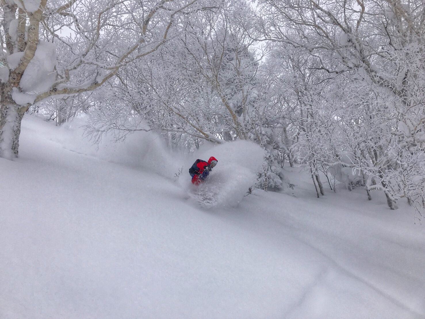 9-Day Nagano Indy Trip