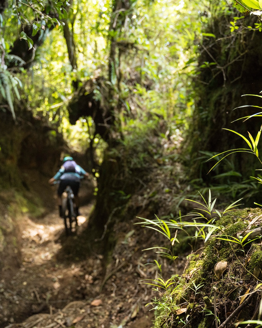 Ride the Rainforest - Int-Adv | Costa Rica