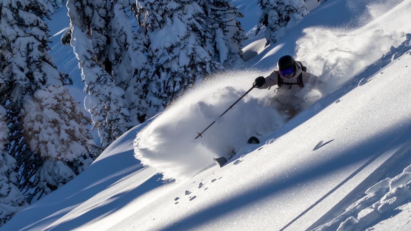 Non-Private Powder Cat Day Tour