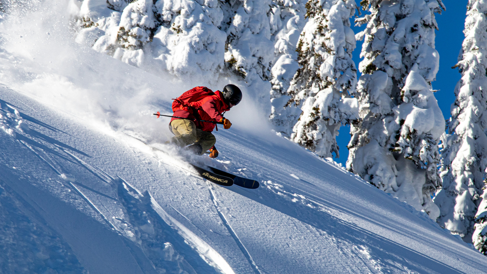 Non-Private Steep & Deep Cat Day Tour
