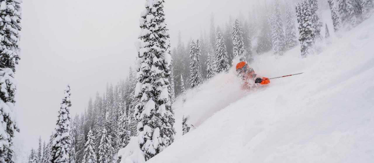 1 Day Bell 212 Signature Heliskiing
