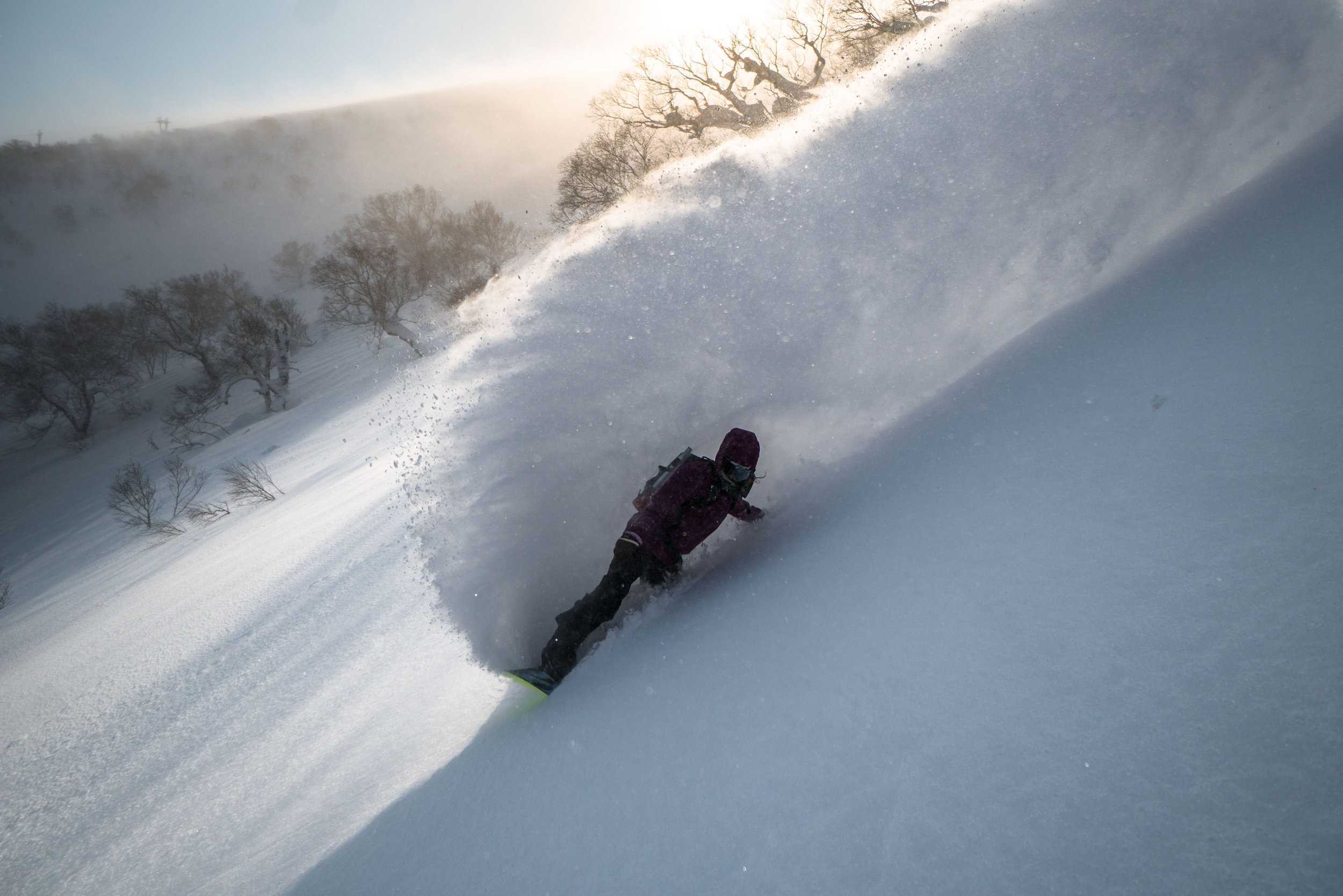 Private Cat Skiing in Hokkaido