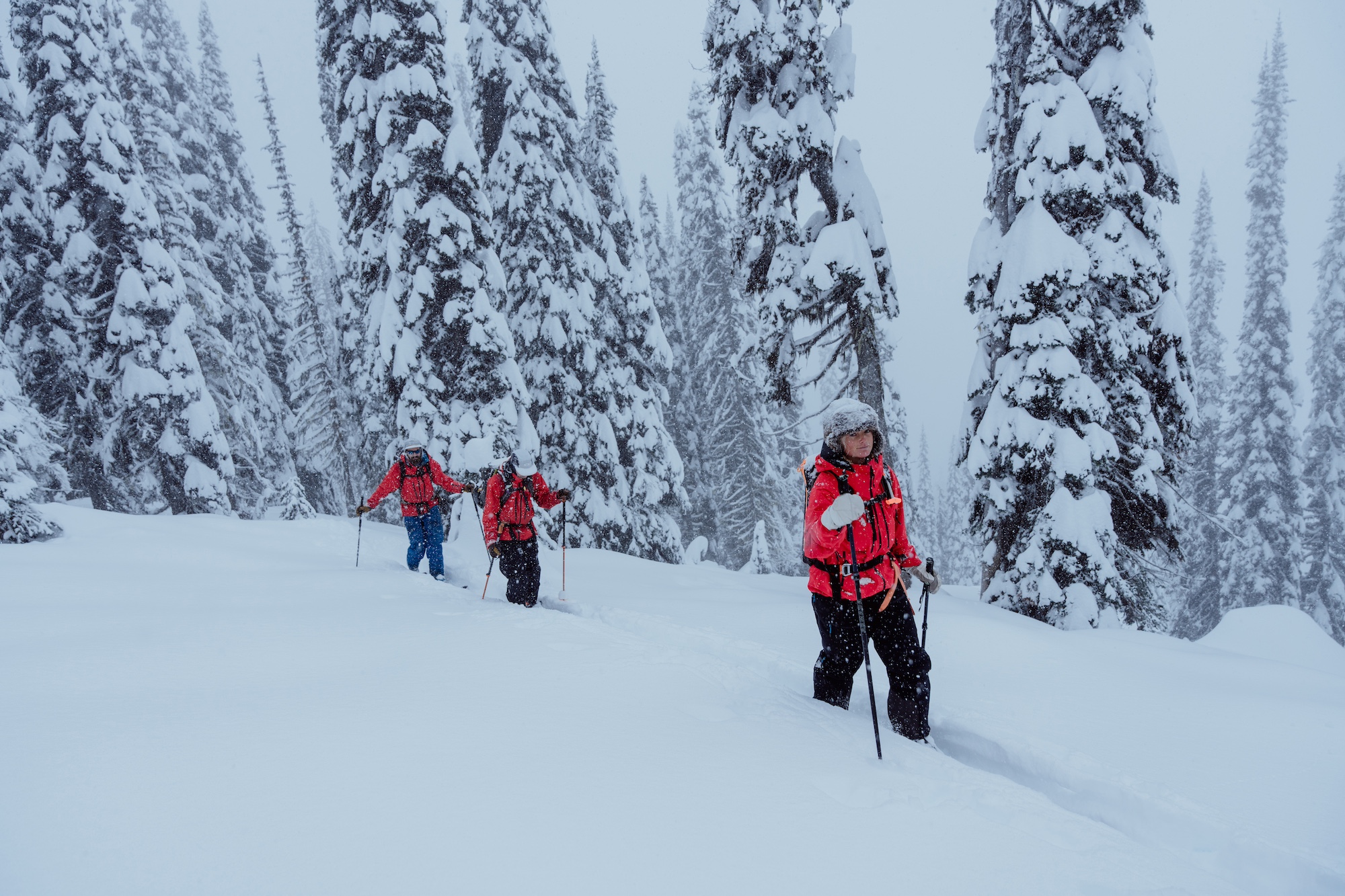 Multiday Cat Assisted Ski Touring