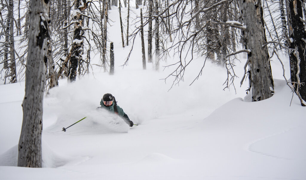 Private Heliskiing Lodge Buyout