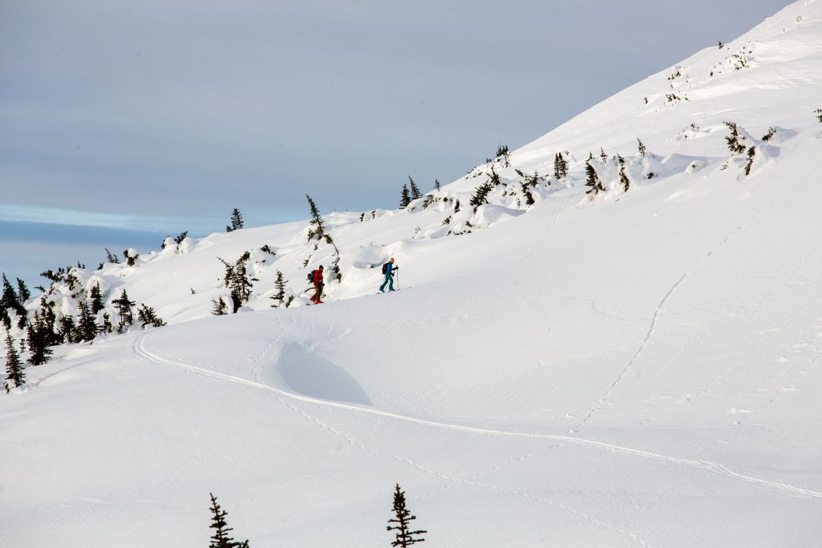 Cat-Assisted Ski Touring