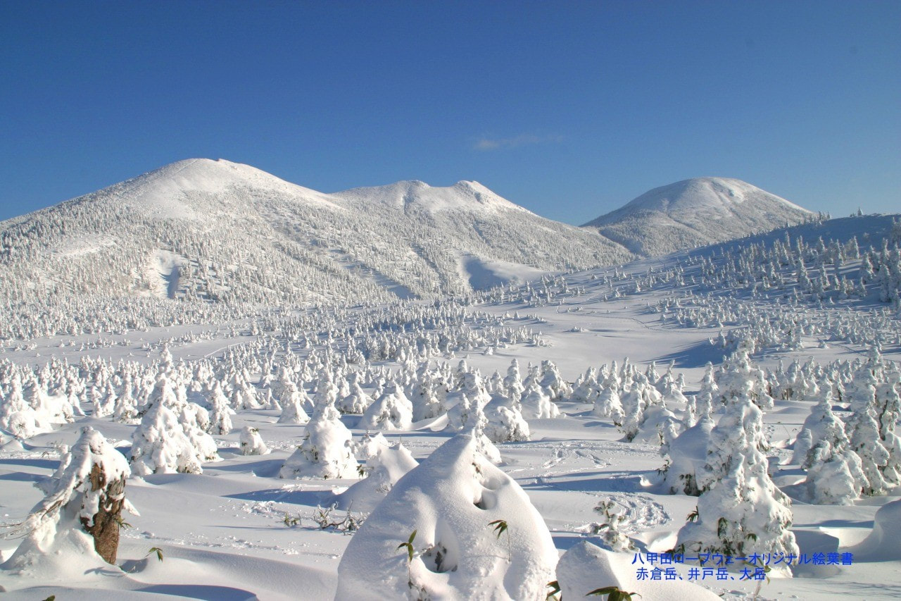5-Day Hakkoda Guided Trip