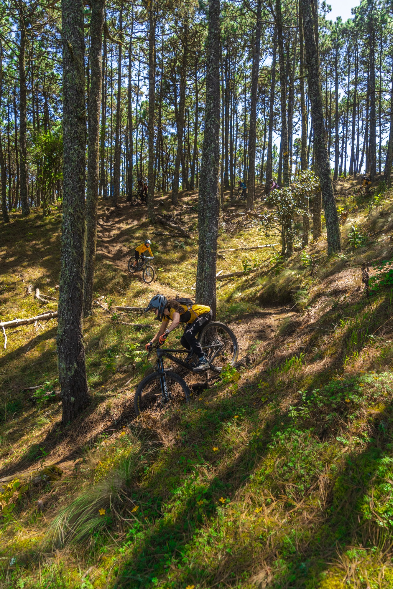 Into The Gnar