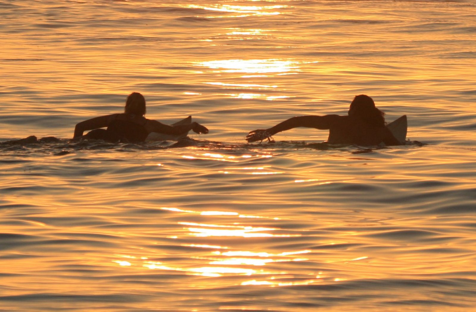 Surf Camp
