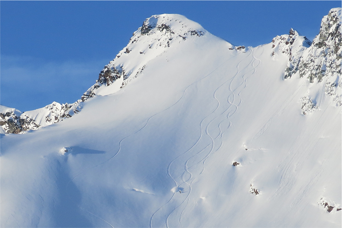 Private Single Day Heliskiing