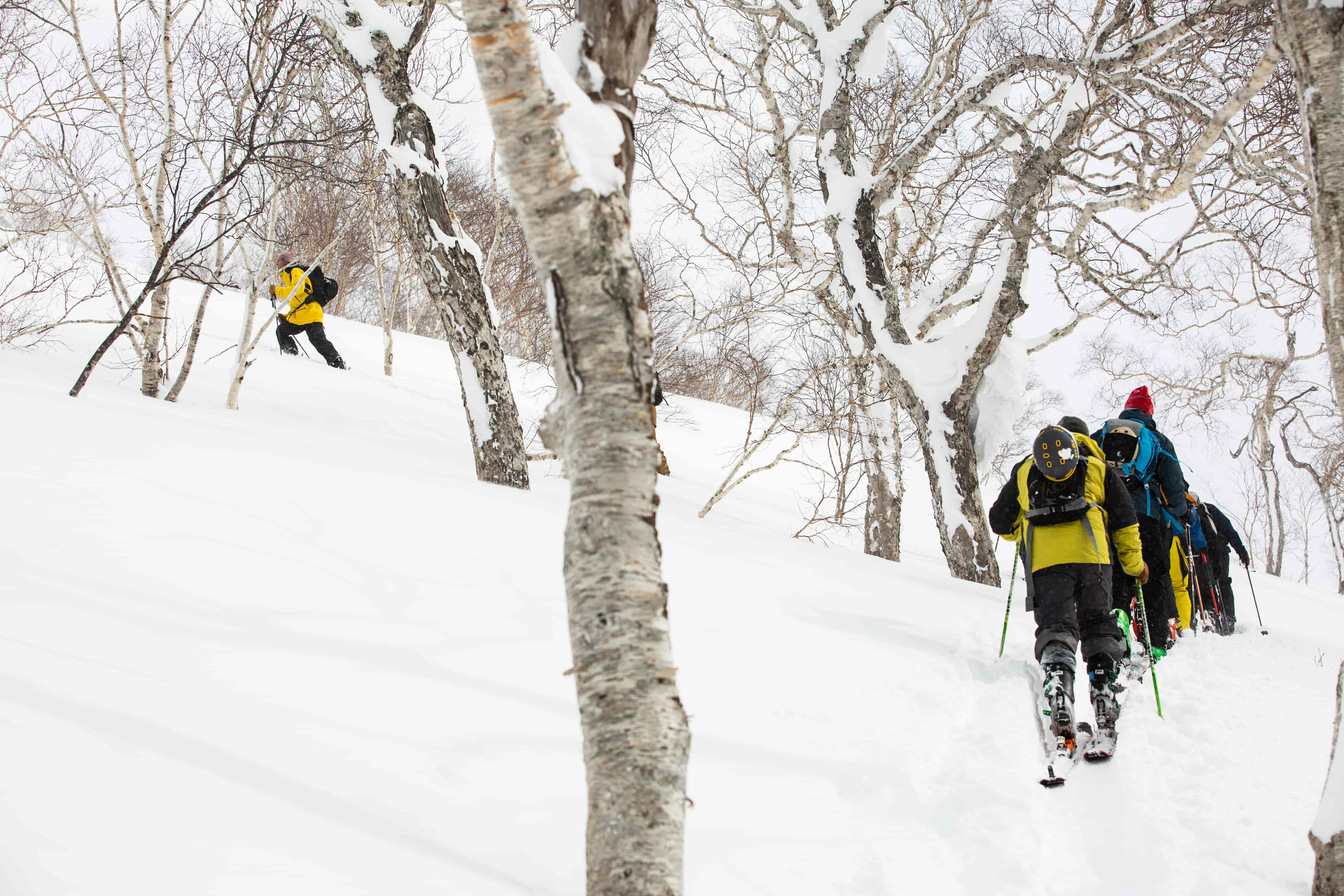 Ski Touring