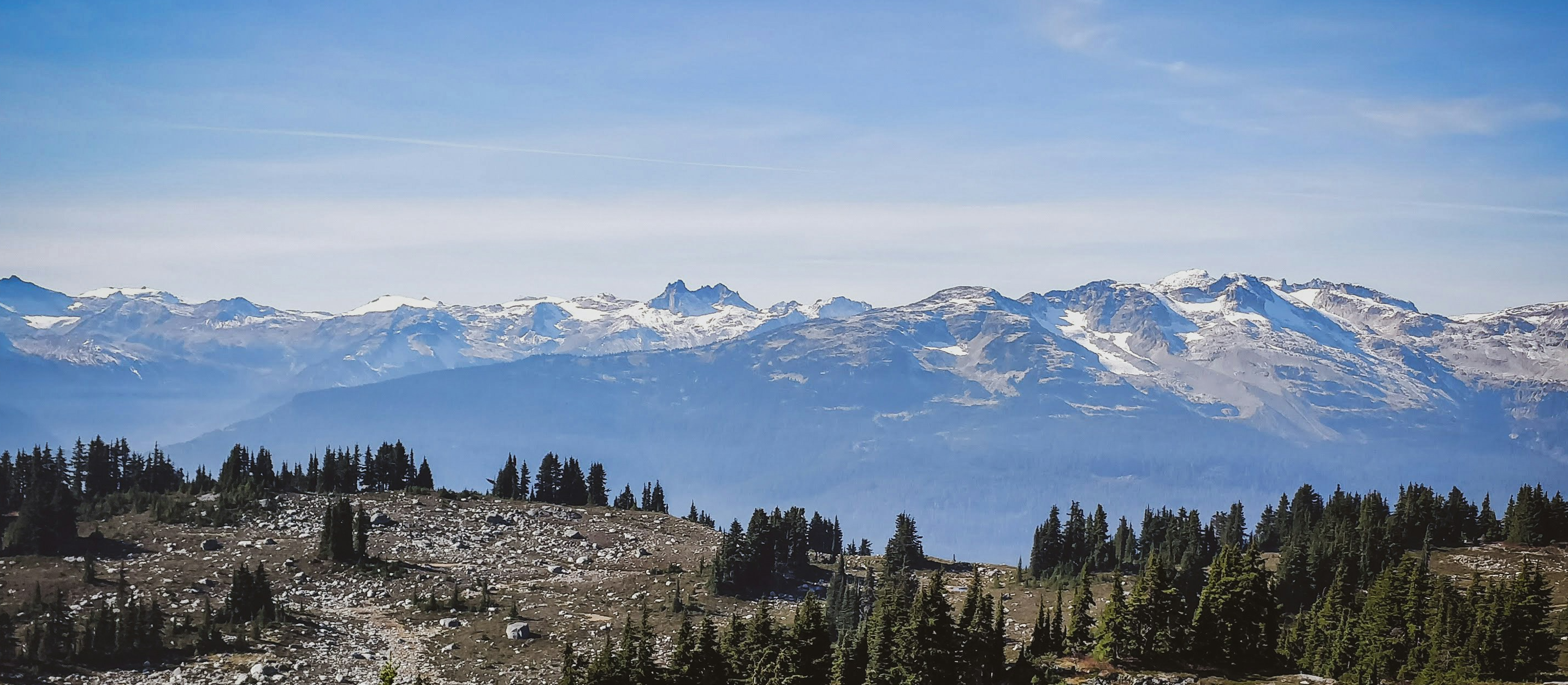 Whistler