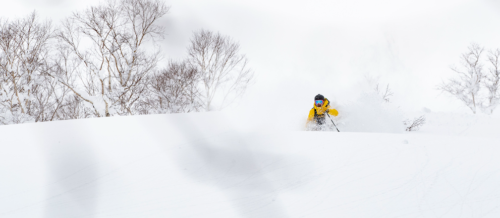 Cat Skiing in Japan