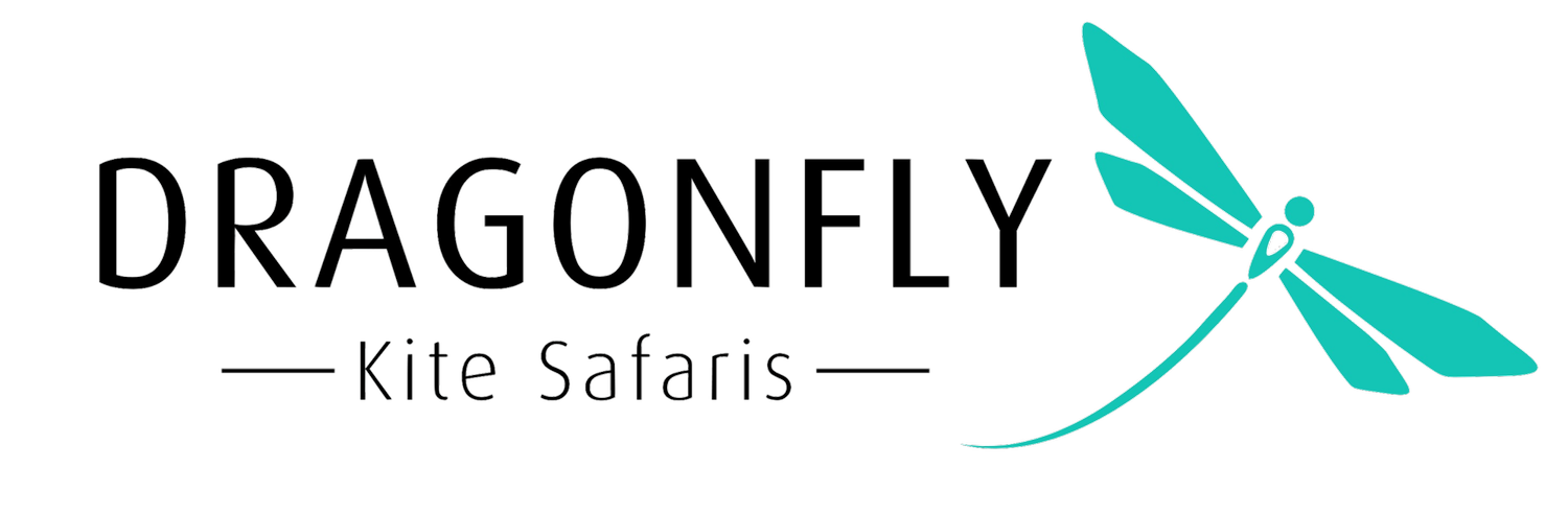 Dragonfly Kite Safaris logo